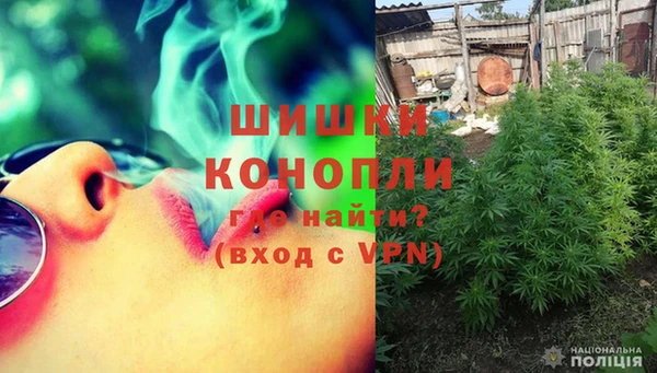 первитин Новодвинск