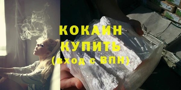 трава Карпинск