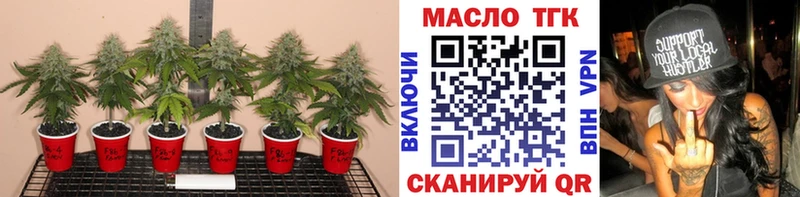 купить  сайты  Арск  Дистиллят ТГК жижа 