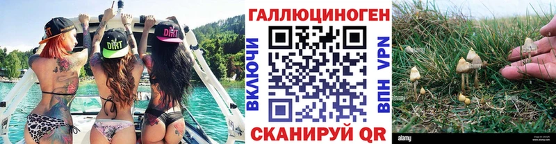 купить наркотики сайты Арск Галлюциногенные грибы Psilocybe